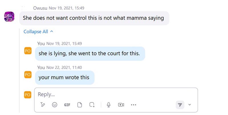 Zoom Screenshot of a conversation exposing lies about child custody.